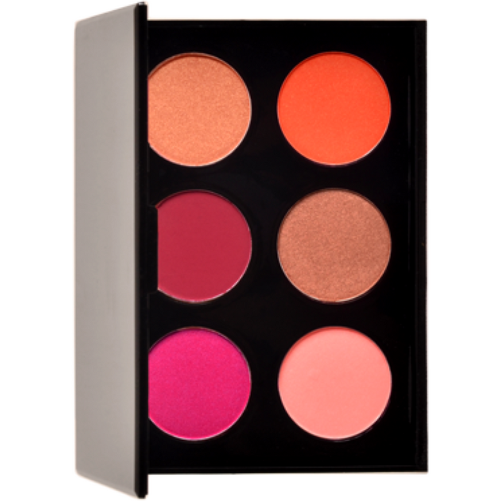 BLUSH PALLETE 6 COLORS IN ONE GET A FREE LIPSTICK!